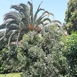 Apartma Ernestino * Portoroz