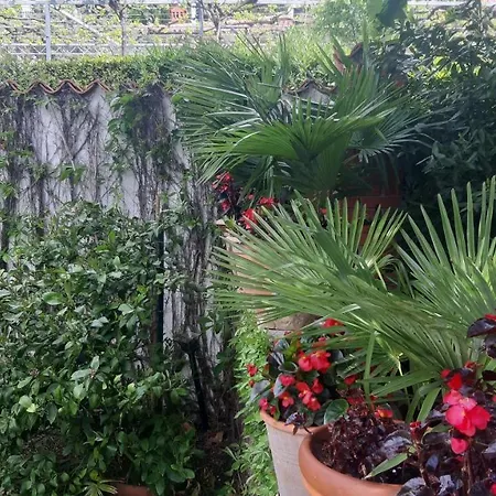 Apartament Apartma Ernestino Portorož