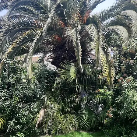 Apartma Ernestino Apartman *