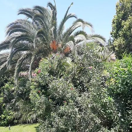 Apartma Ernestino * 波尔托罗