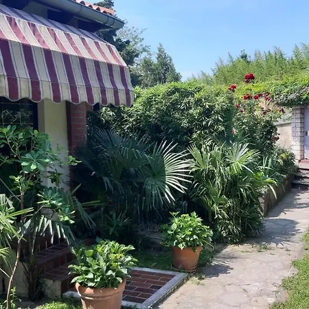 Apartma Ernestino Apartamento *