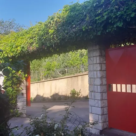 Apartma Ernestino *