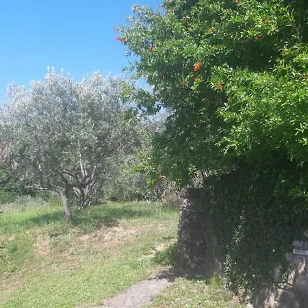 Apartma Ernestino 波尔托罗