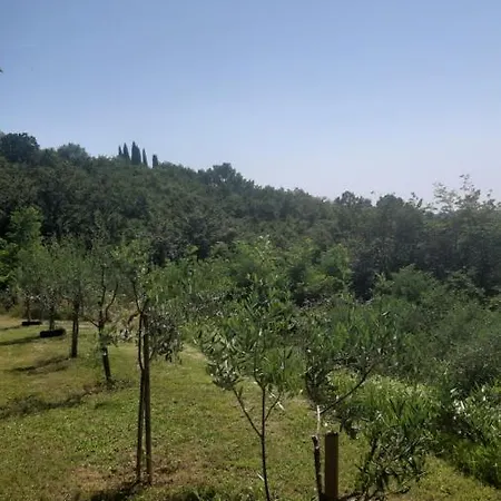 Apartma Ernestino Apartment *