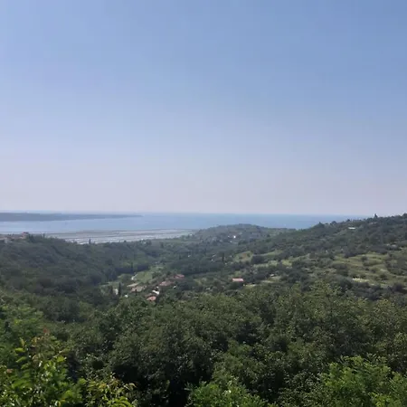 Apartma Ernestino Apartment