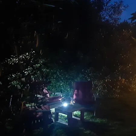 Apartment Apartma Ernestino