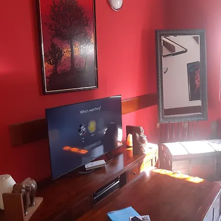 Apartma Ernestino * 波尔托罗