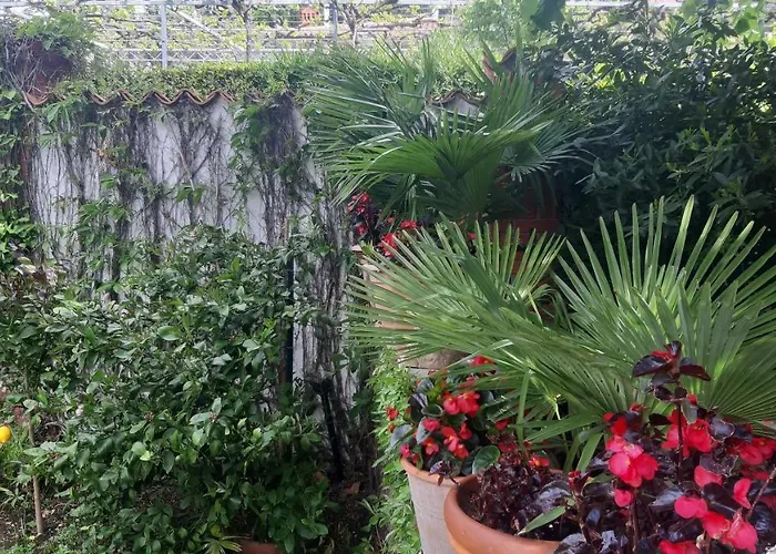 Daire Apartma Ernestino Portorož