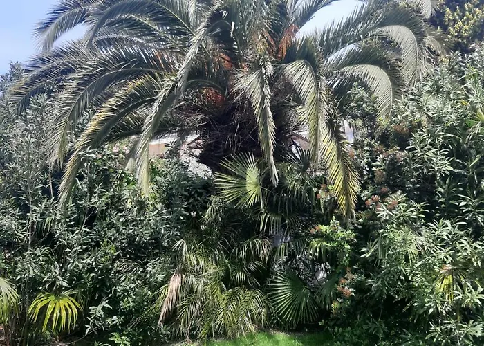 Apartma Ernestino Apartamento *