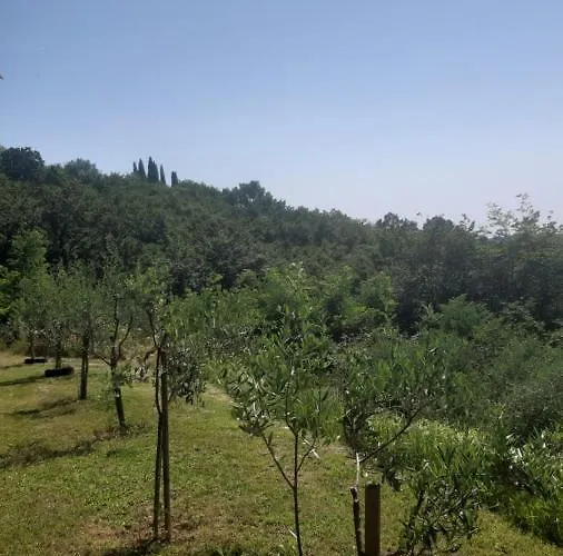 Apartma Ernestino Daire *